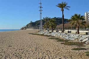 AOBR- Nouvel an 2015- 652- Sardinade Calella